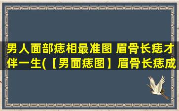 男人面部痣相最准图 眉骨长痣才伴一生(【男面痣图】眉骨长痣成伴侣 一生缘聚相依随)